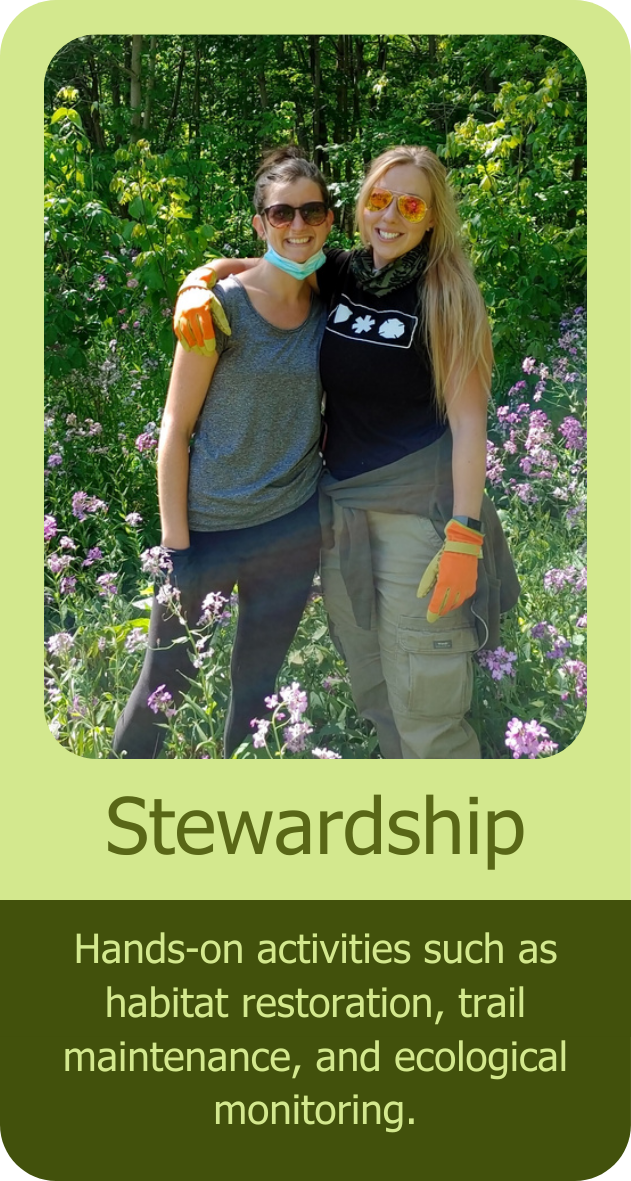 Stewardship opportunities image and description