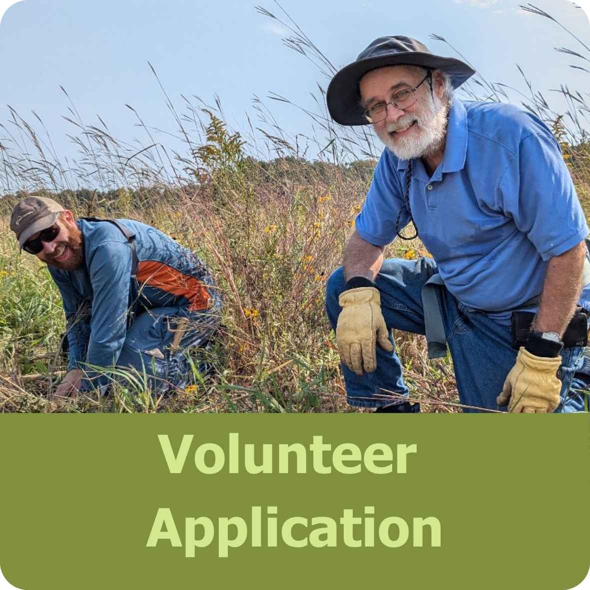 Volunteer Application