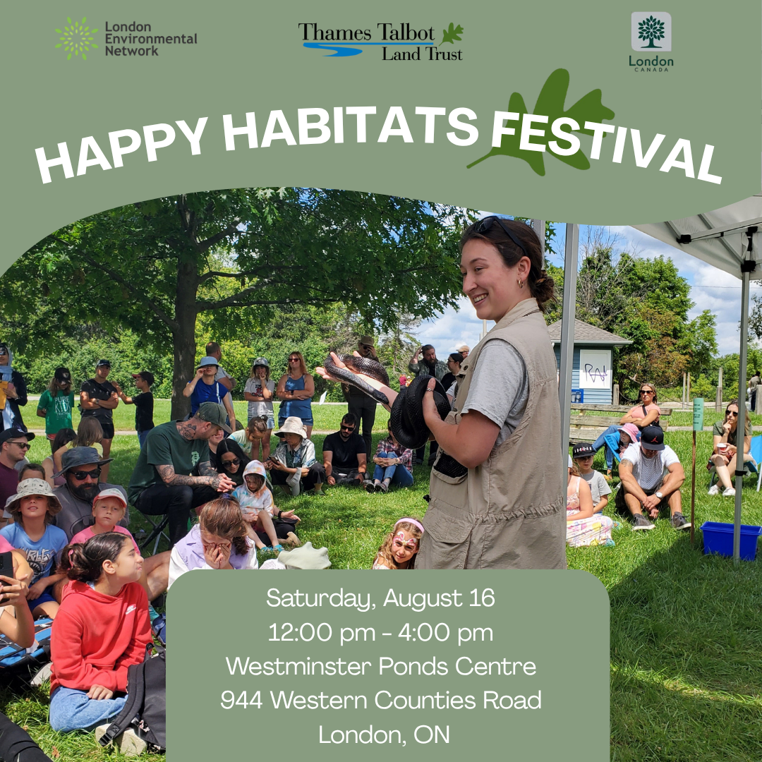 A woman holds a brown snake under a tent in front of a group of children sitting in the grass