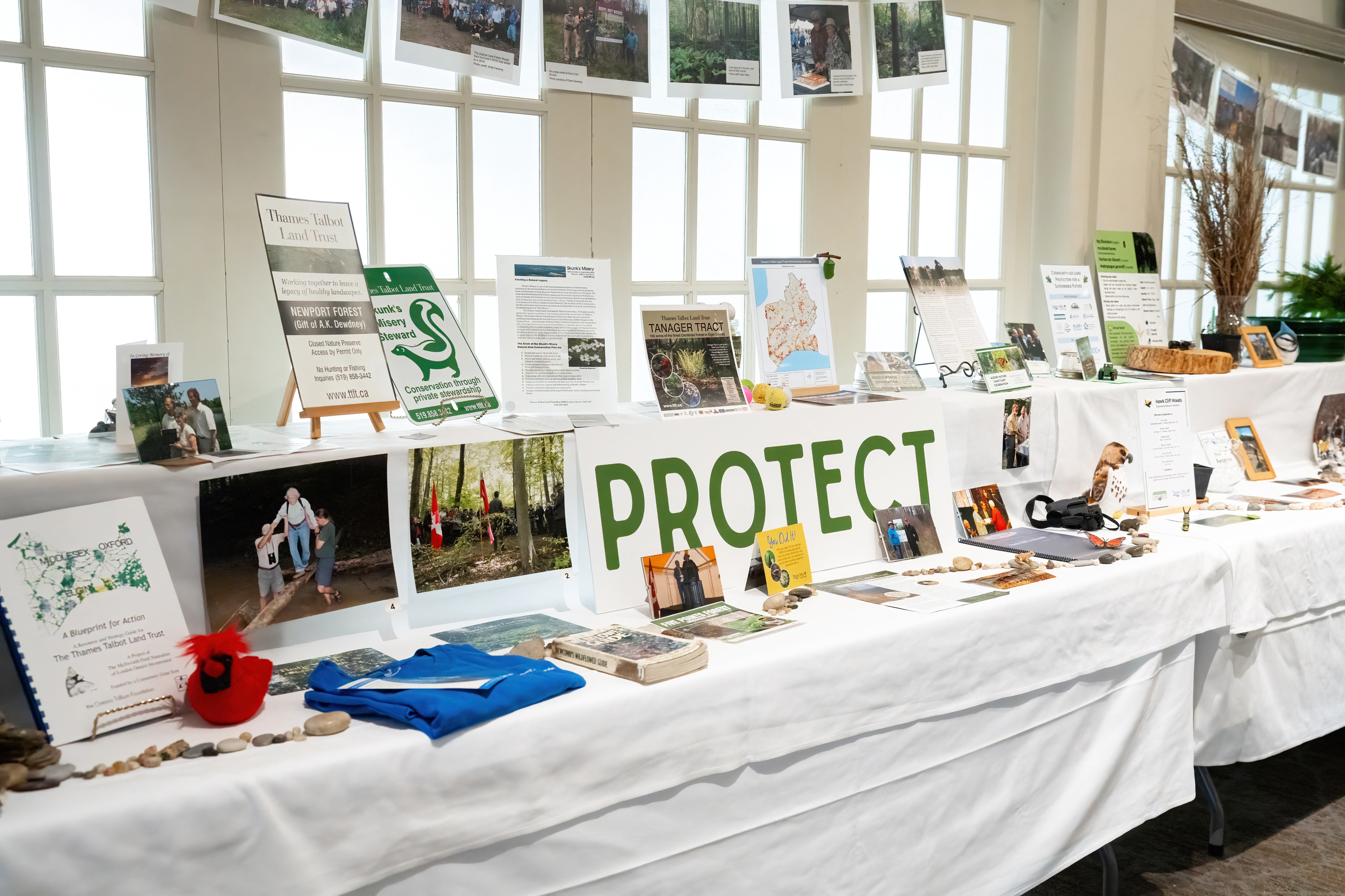 A table of display items labelled Protect