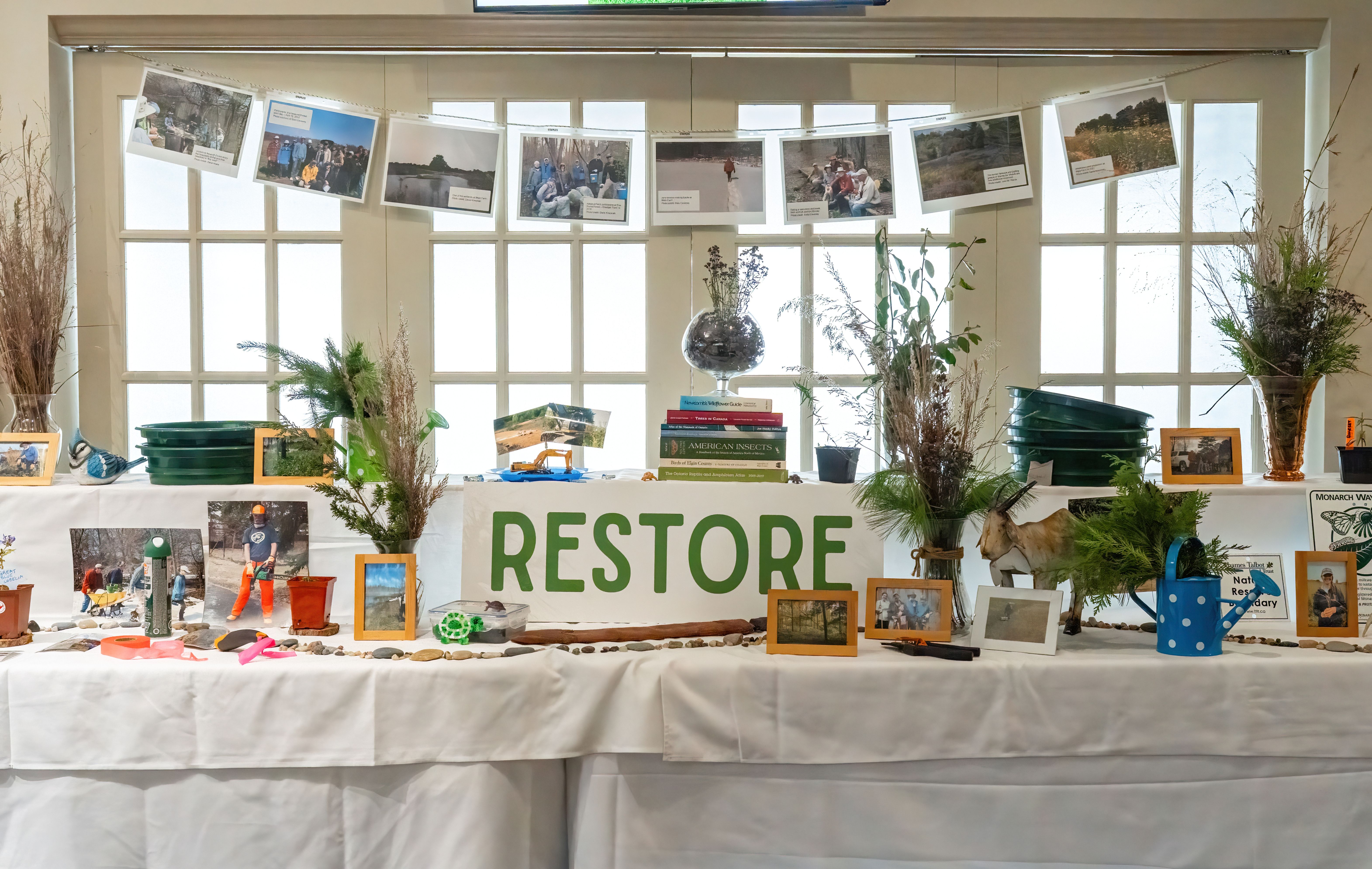 A table of display items labelled Restore