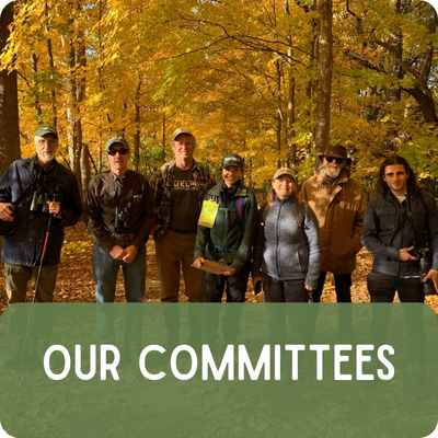 Seven people stand smiling at the camera in the forest.
