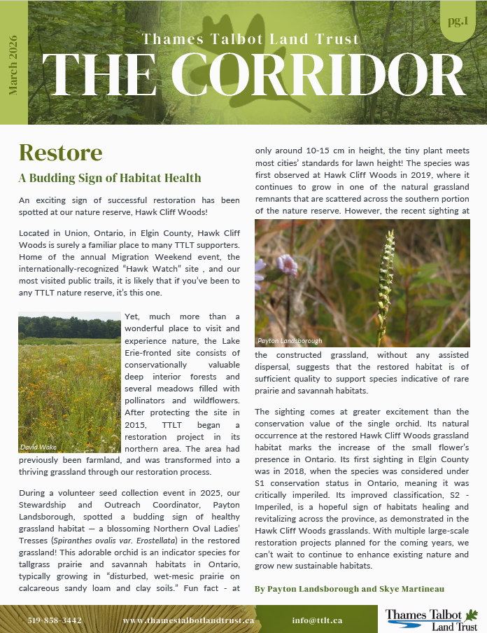 The front page of The Corridor newsletter
