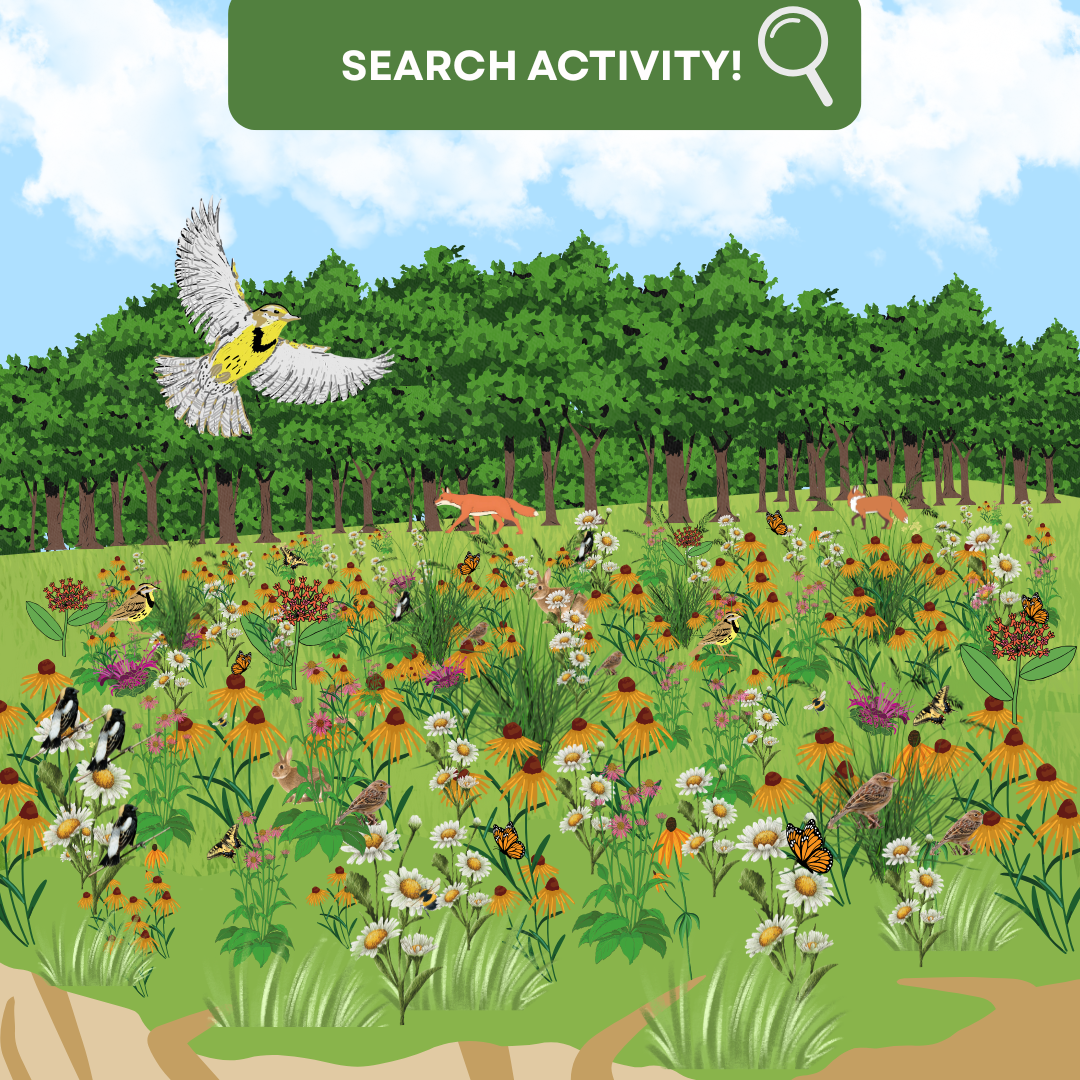 The same exact description as the last image - the meadow filled with flowers and creatures. There is a green bar at the top that reads \