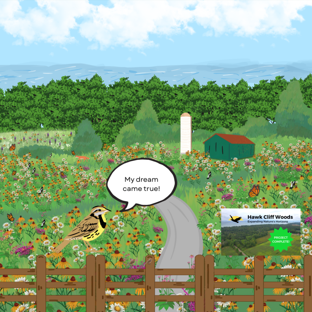 The Eastern Meadowlark now rests on a brown fence in the foreground. The background is a sweeping meadow, filled with colourful flowers, orange butterflies, and brown and black birds, and has a green and red barn and silver silo. There is a green forest and blue sky in the very back.