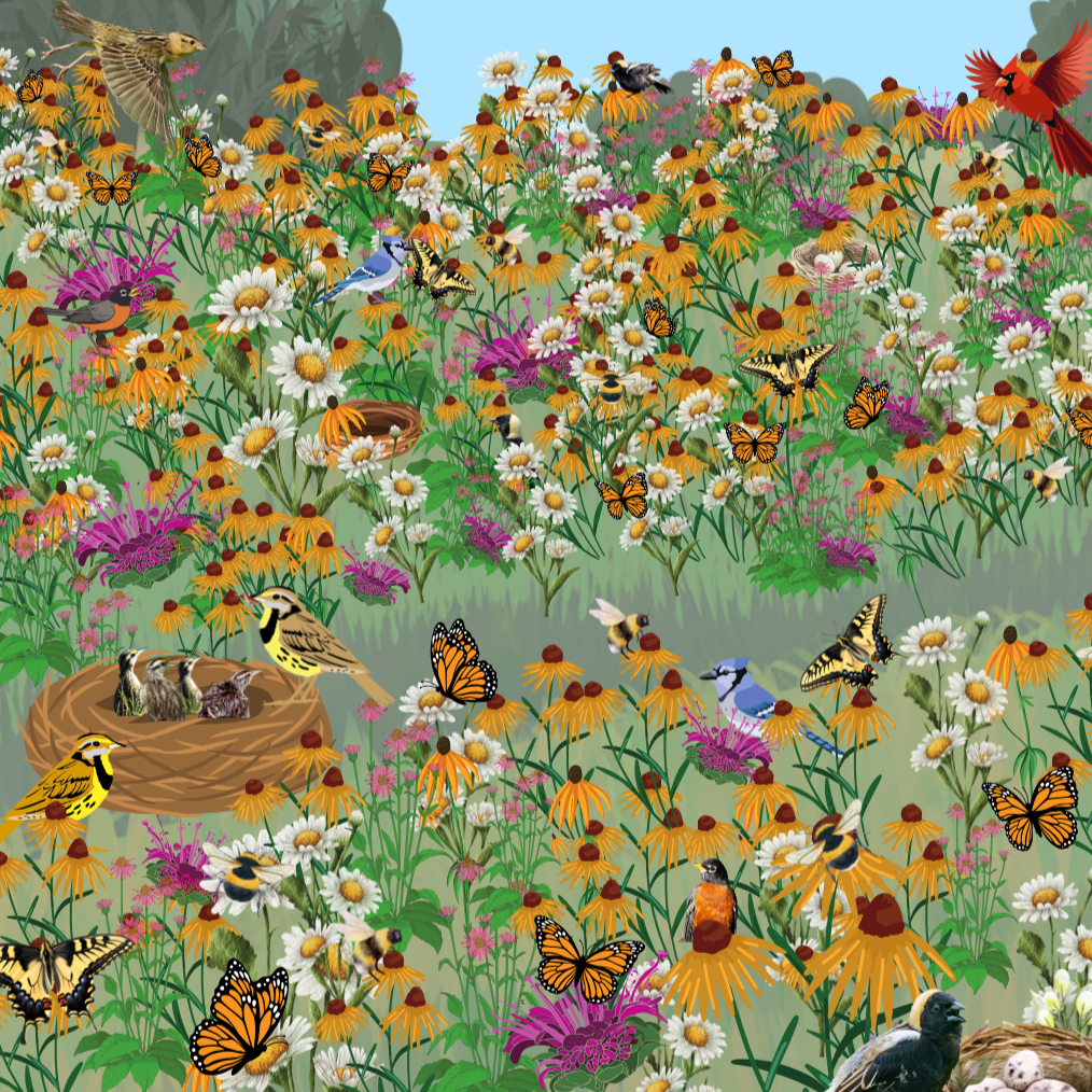 Giving Tuesday Day 4 Giving Tuesday Day 4