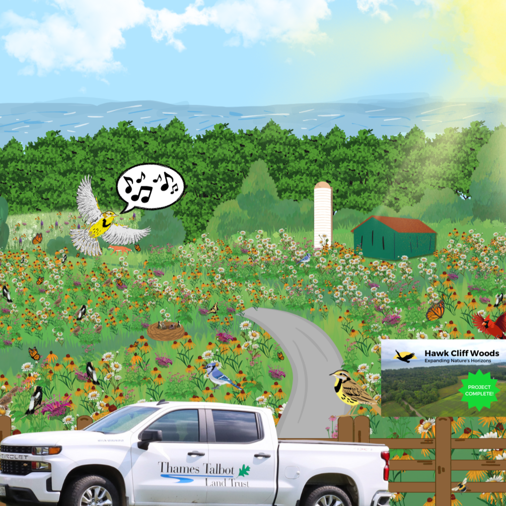 Giving Tuesday Day 4 Giving Tuesday Day 4