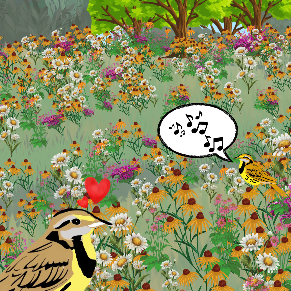 Giving Tuesday Day 4 Giving Tuesday Day 4