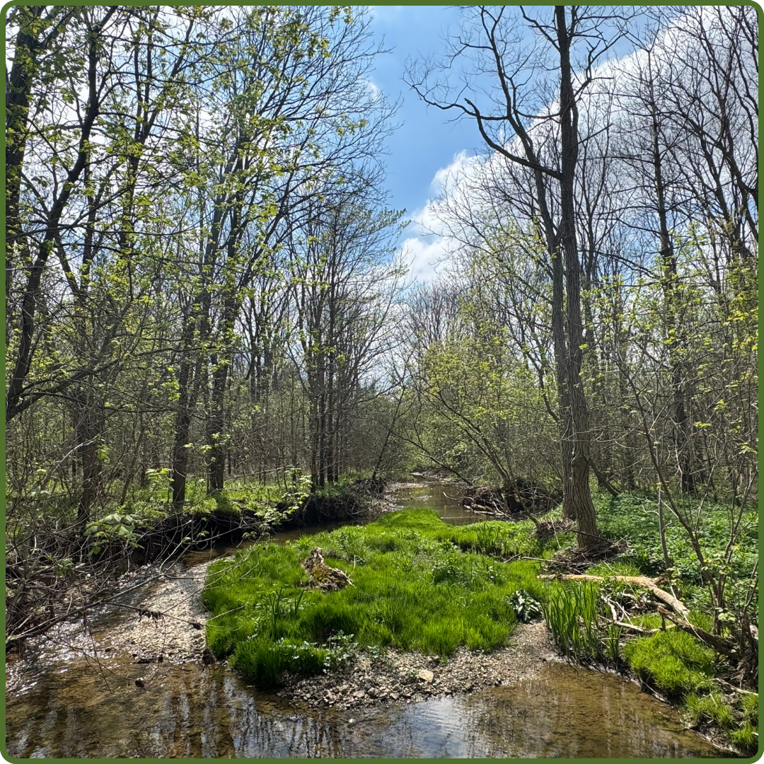 Livingstone Farm - CEA by David Livingstone