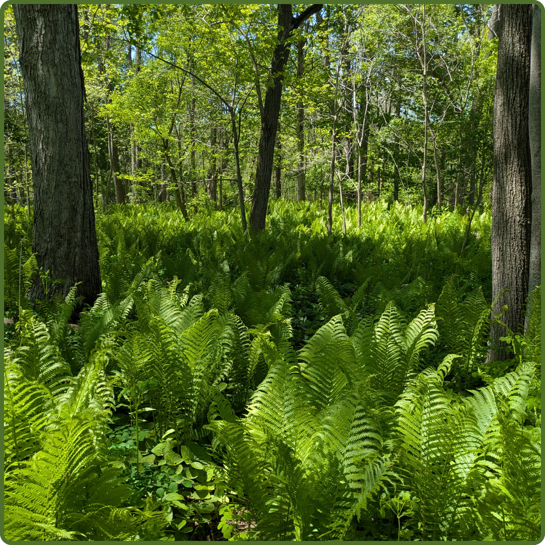 Blain Farm by Payton Landsborough
