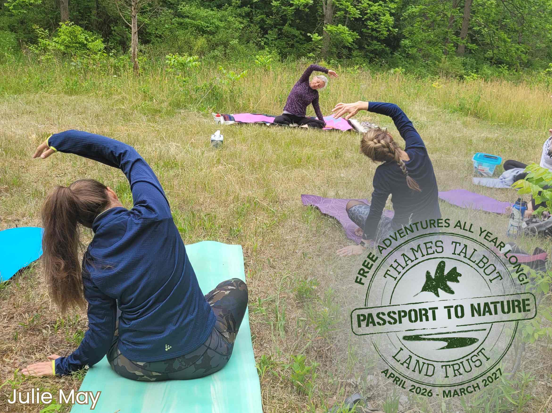 people doing yoga in a meadow. in a semi circle on colourful yoga mats participants sit cross legged with their backs to the camera and reach one arm up and arched over their heads