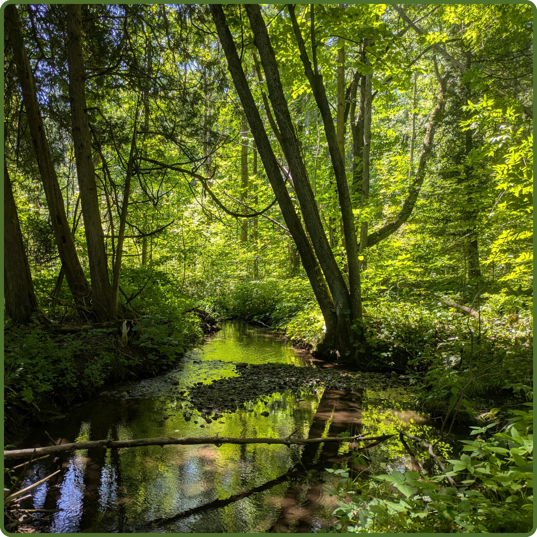 McTavish Tract by Payton Landsborough