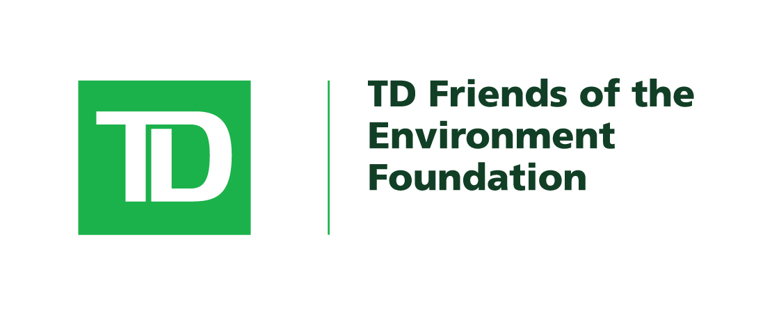 TD_FEF_LOGO__EN.jpg
