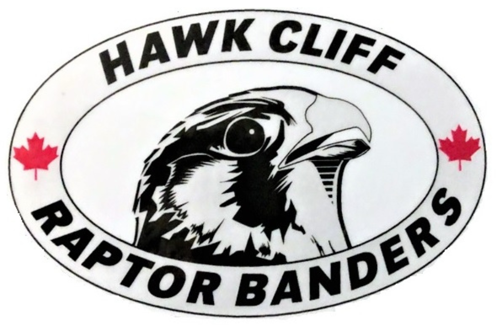 Hawk Cliff Raptor Banders logo