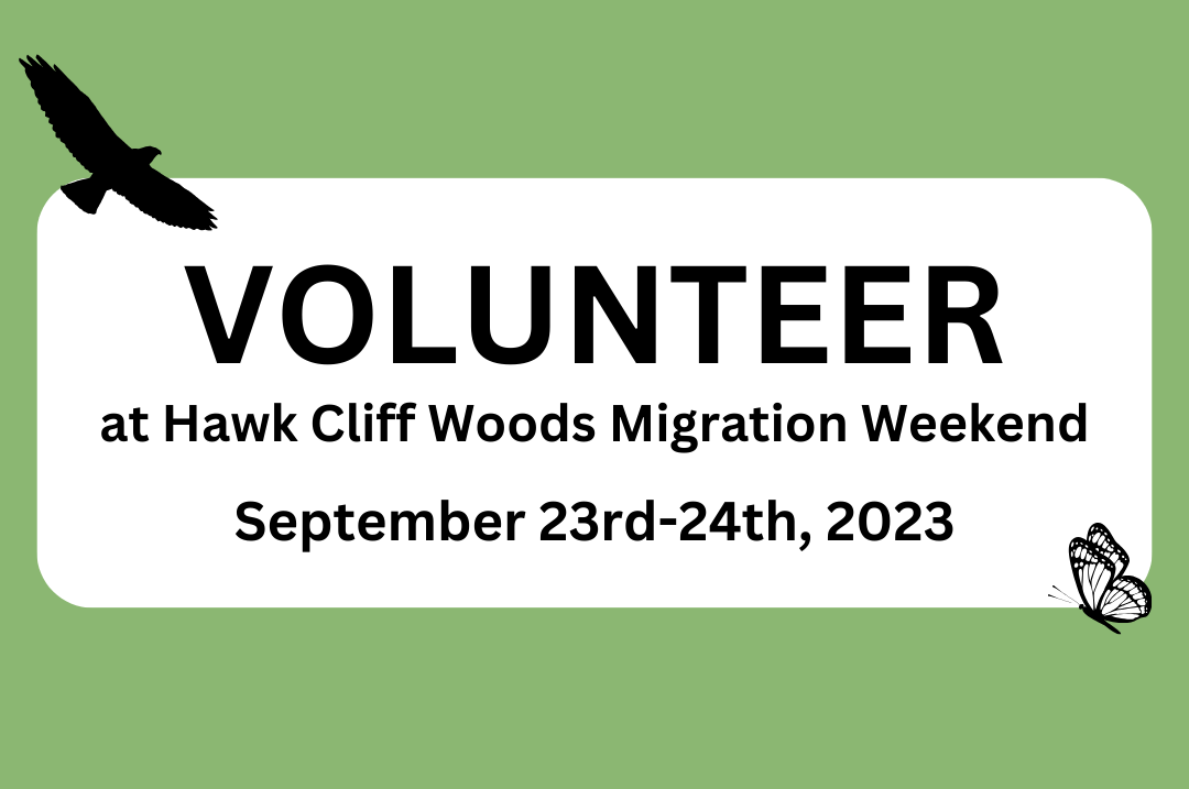 Green background with white horizontally elongate oval in the middle; words "Volunteer at Hawk Cliff Woods Migration Weekend, September 23rd-24th, 2023" on white oval; hawk silhouette in top left corner; butterfly silhouette in bottom right corner