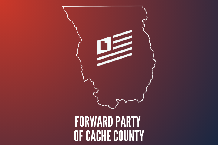 Meet the Candidates Picnic