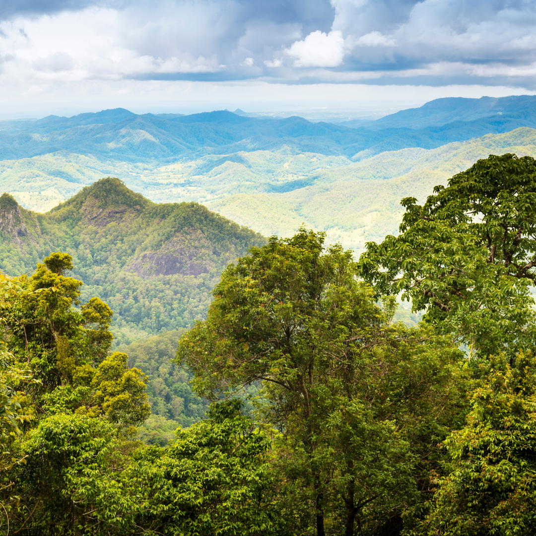 For Our Planet - card image