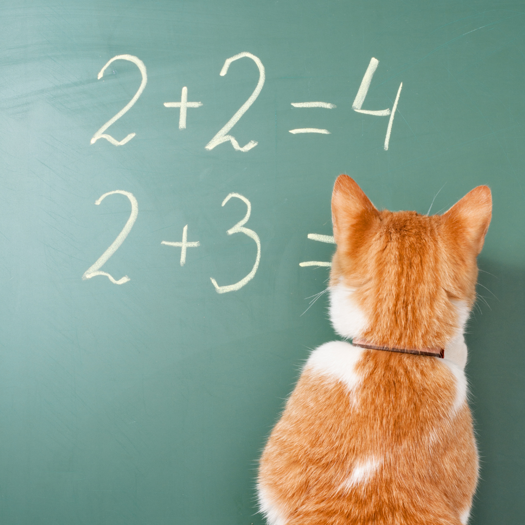 1. MEASURE your carbon pawprint - card image