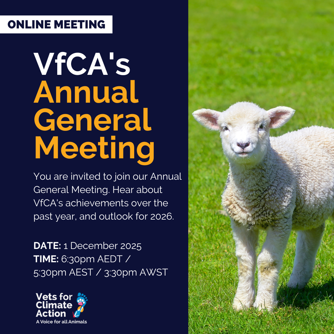 Annual General Meeting 2025