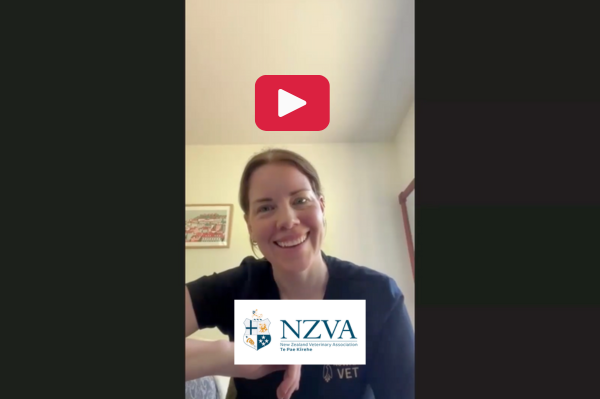 Kowhai Vets: Adopting the Climate Care Programme - card image