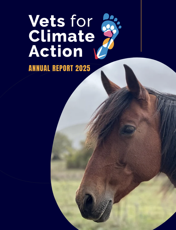 Vets for Climate Action's Annual Report for 2025 preview image