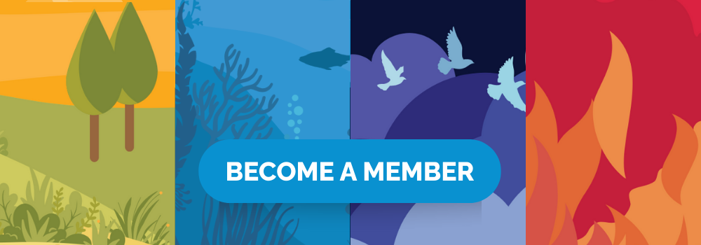 Become a Member