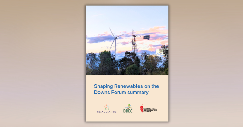 Shaping Renewables on the Downs forum summary – Report