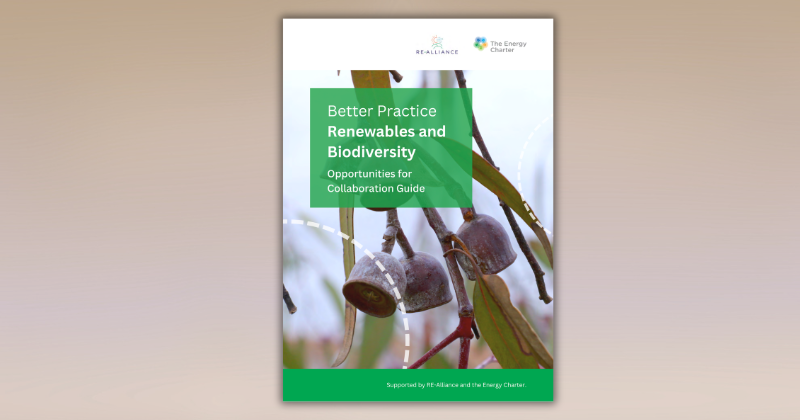 Better Practice Renewables and Biodiversity – Opportunities for Collaboration Guide – Report
