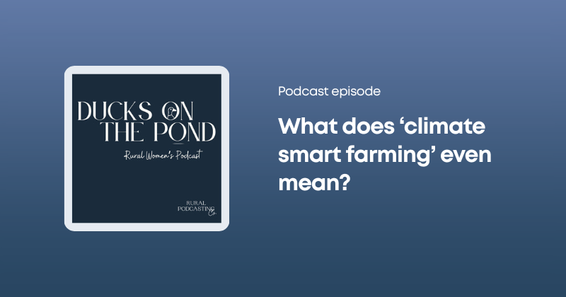 'What does 'climate smart farming' mean?'