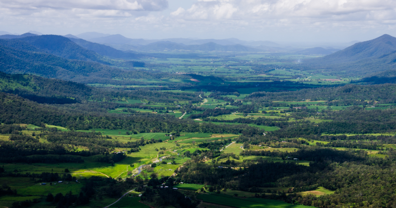 Submission on the Brigalow Belt North bioregional plan