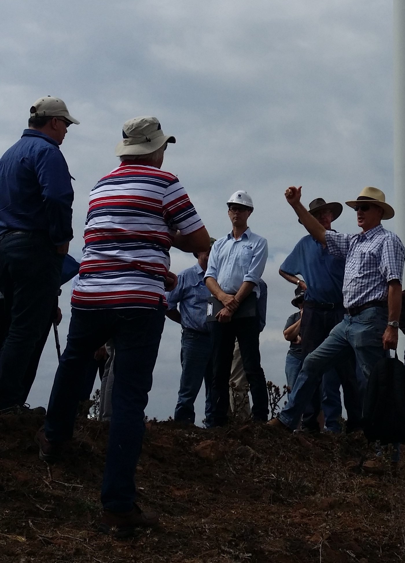 Taralga_Wind_Farm_Charlie.jpg