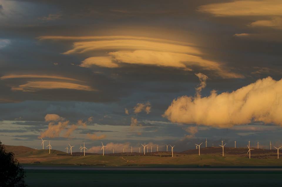 How much power does a wind farm make?