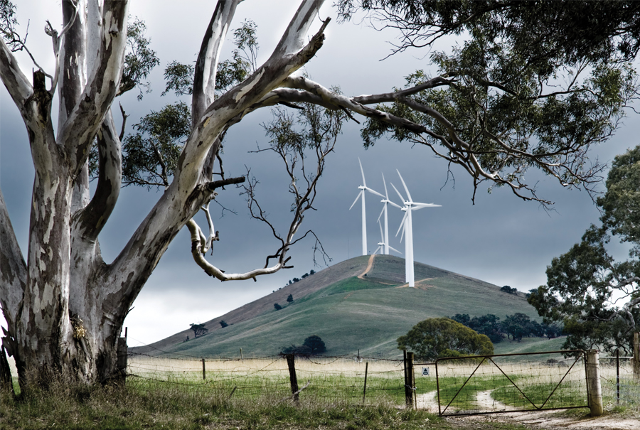 Soaring wind industry set to slash electricity prices