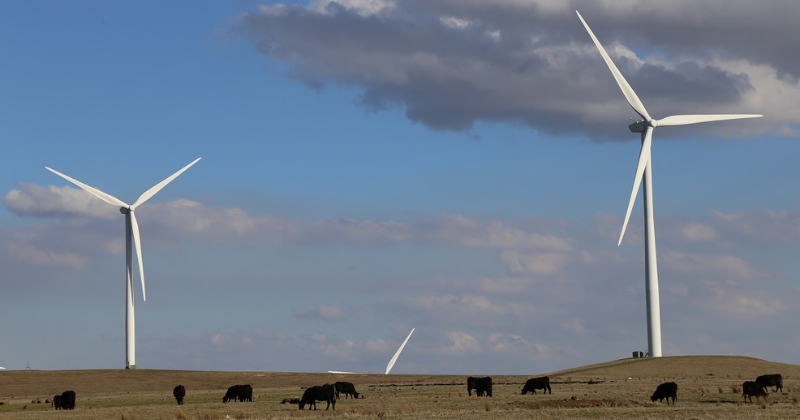 Wind study full of holes