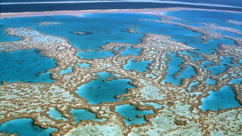 RE-Alliance response to Technical paper on Queensland Renewable Energy Zones