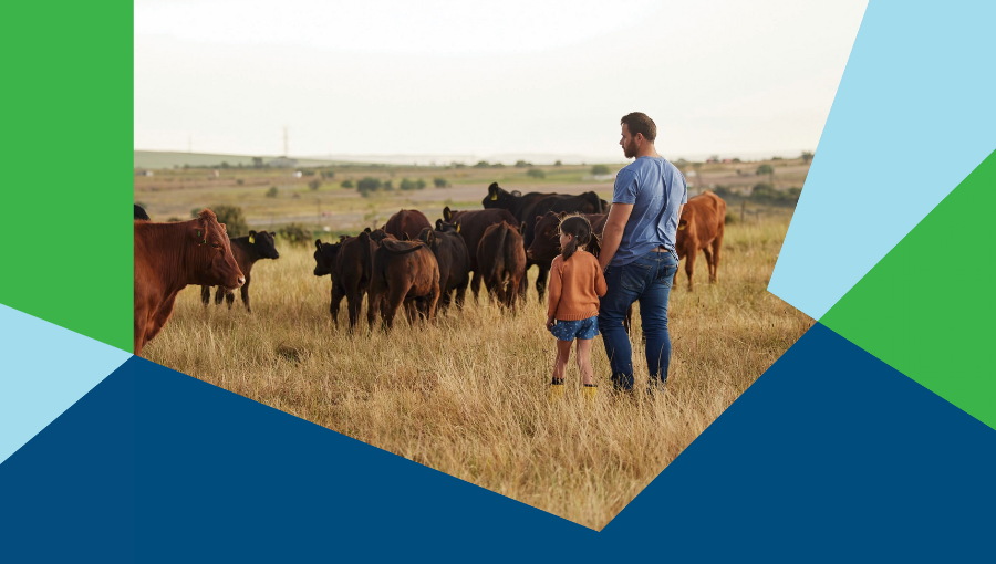 Submission to VicGrid’s draft Renewable Energy Zones Community Benefit Plan