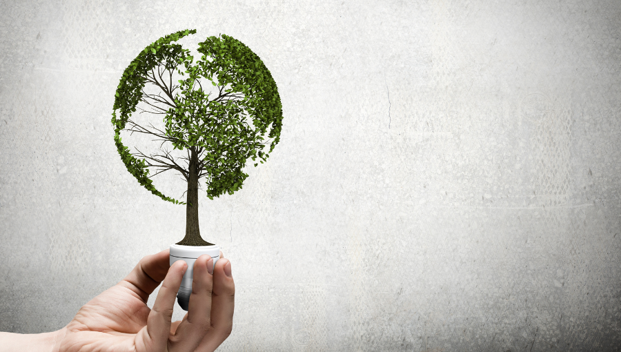 Energy ministers prioritise environment and regional communities in energy transition planning 