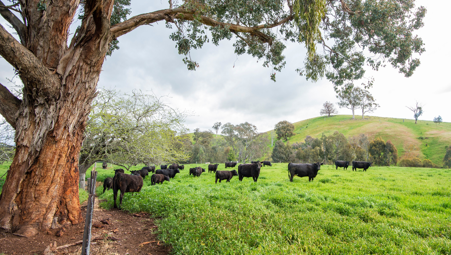 'Farm Powered' – Opportunities for farmers and regional communities from renewable energy