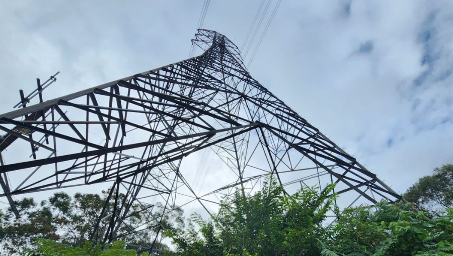 Extra tall transmission towers can reduce impact in highly biodiverse areas