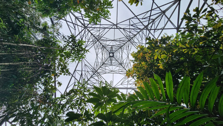 Creating an environmentally regenerative renewables industry