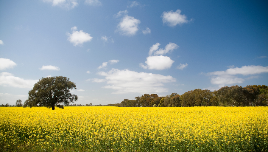West Victorian leaders call for transmission upgrades to unlock opportunities from renewables