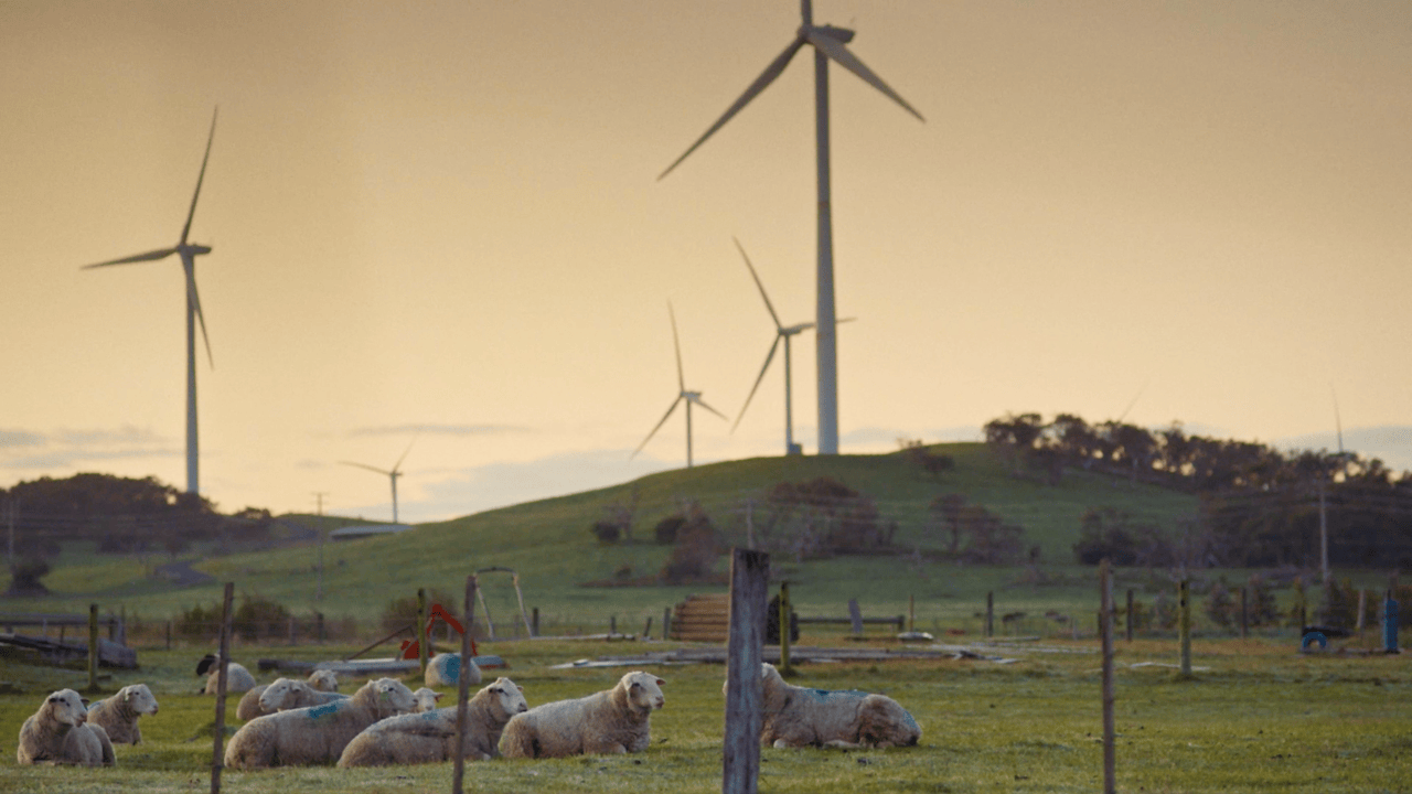 Wind turbines and farming – Lindsay Marriott