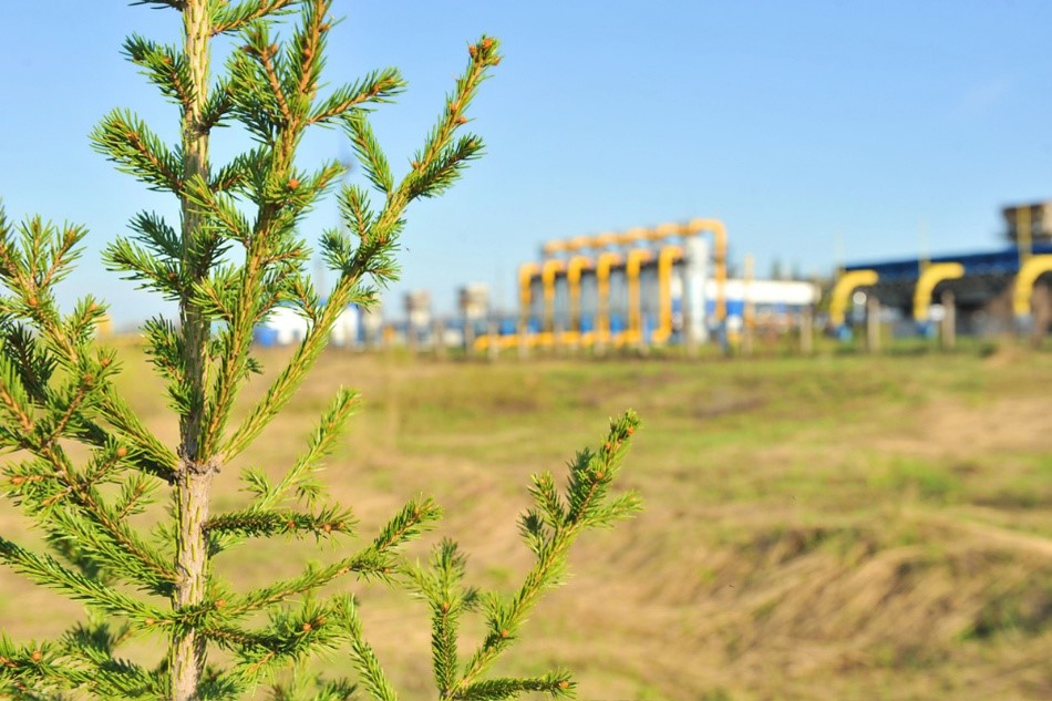 How Indigenous Peoples are shaping a more secure energy future through natural gas partnerships