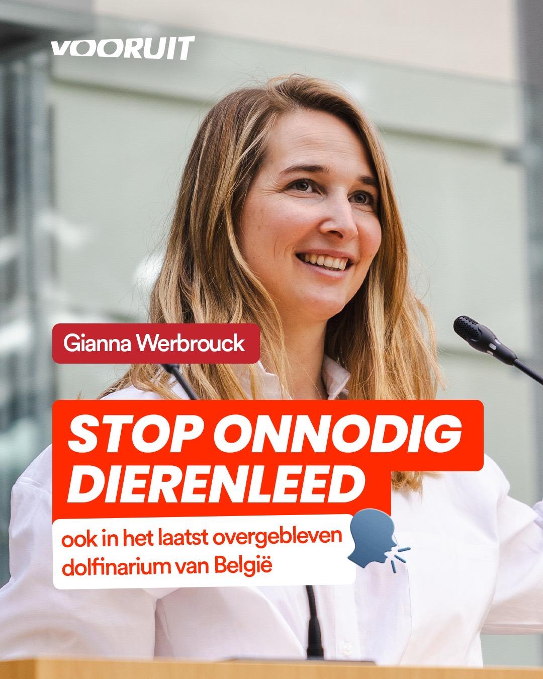 Stop onnodig leed bij dolfijnen door fotoshoots, fysiek contact en circusacts