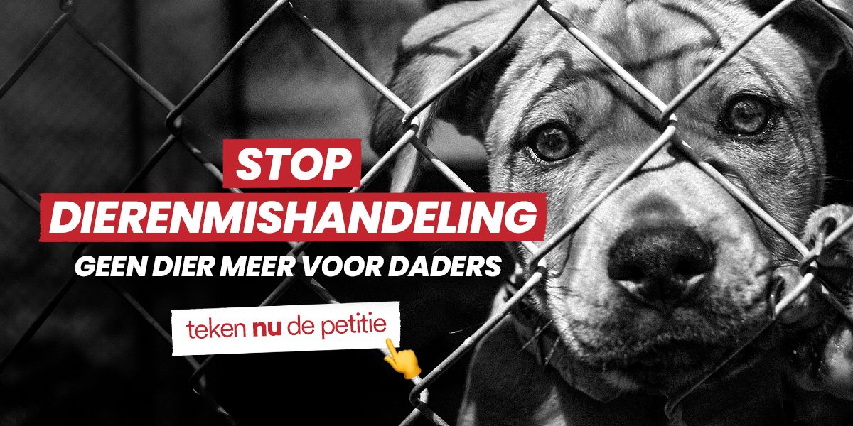 
              stop dierenmishandeling❌