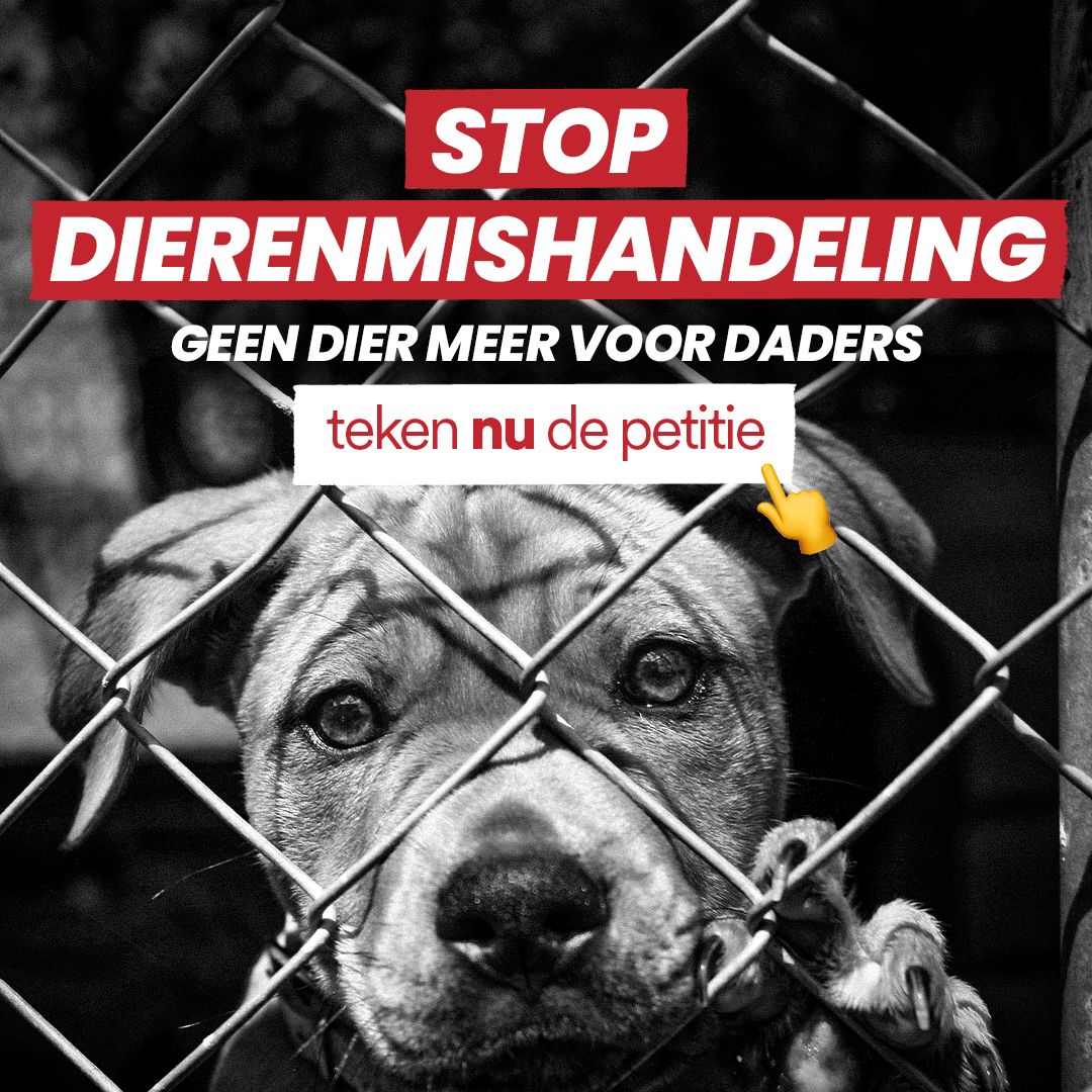 
              stop dierenmishandeling