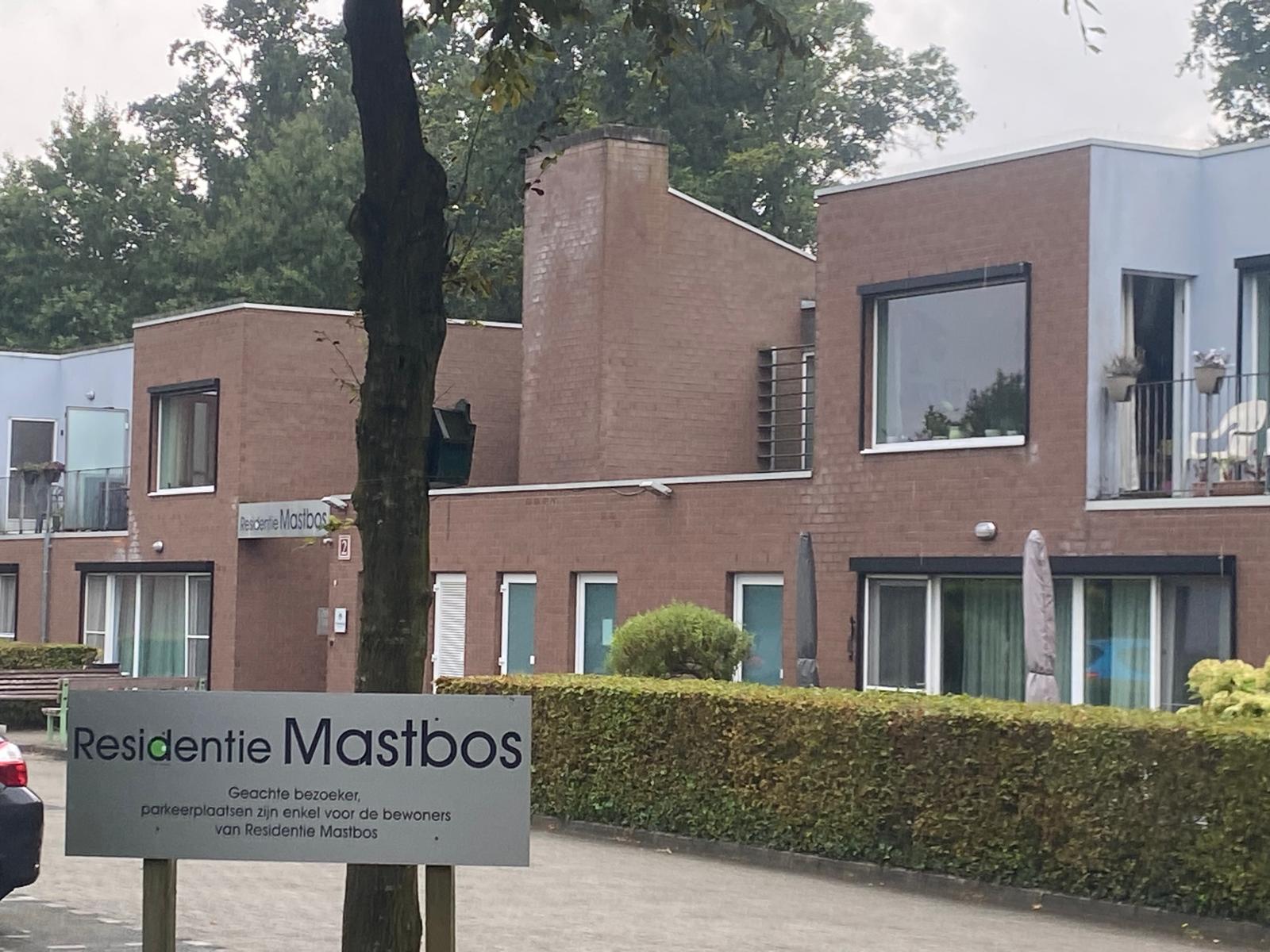Mastbos.jpeg