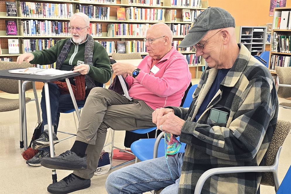 People sitting using Library