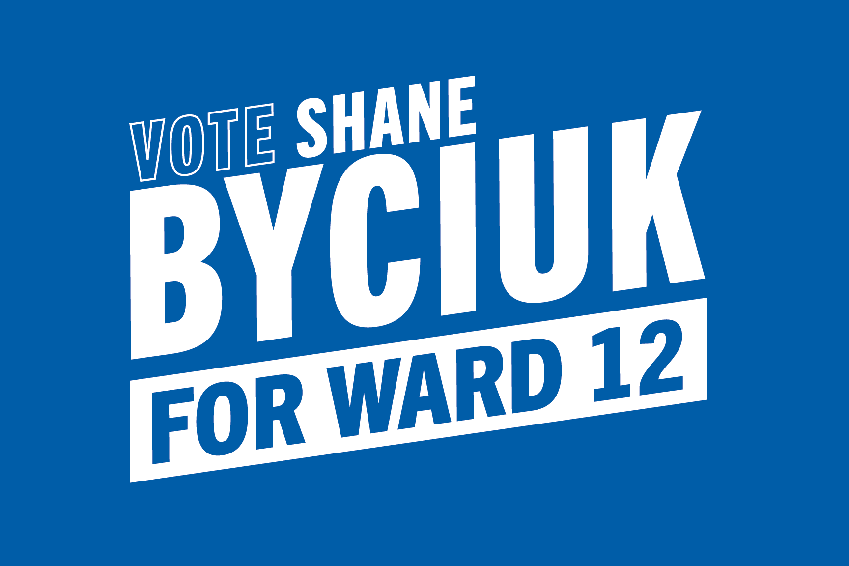 voteshane.com 