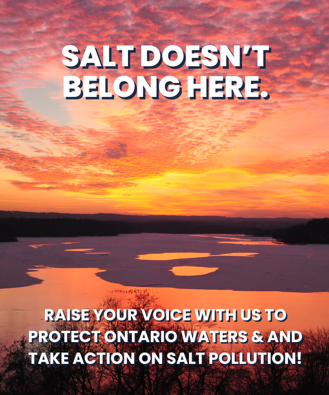 Salt Pollution Take Action